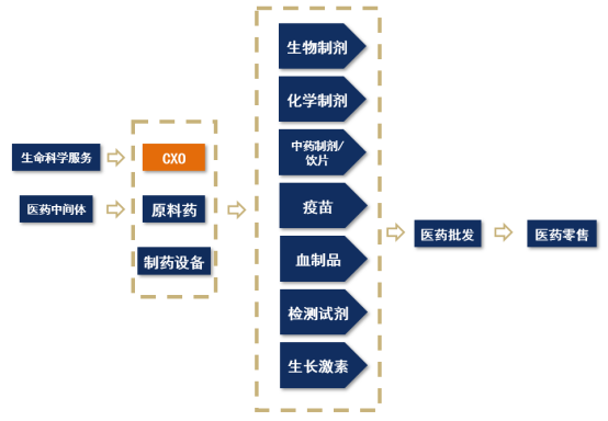 【産業鏈系列文(wén)章】醫(yī)藥産業鏈上(shàng)市公司盤點之CXO篇