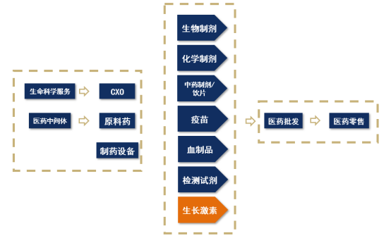 【産業鏈系列文(wén)章】醫(yī)藥産業鏈上(shàng)市公司盤點之生長激素篇