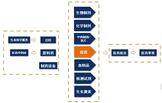 【産業鏈系列文(wén)章】醫(yī)藥産業鏈上(shàng)市公司盤點之疫苗篇