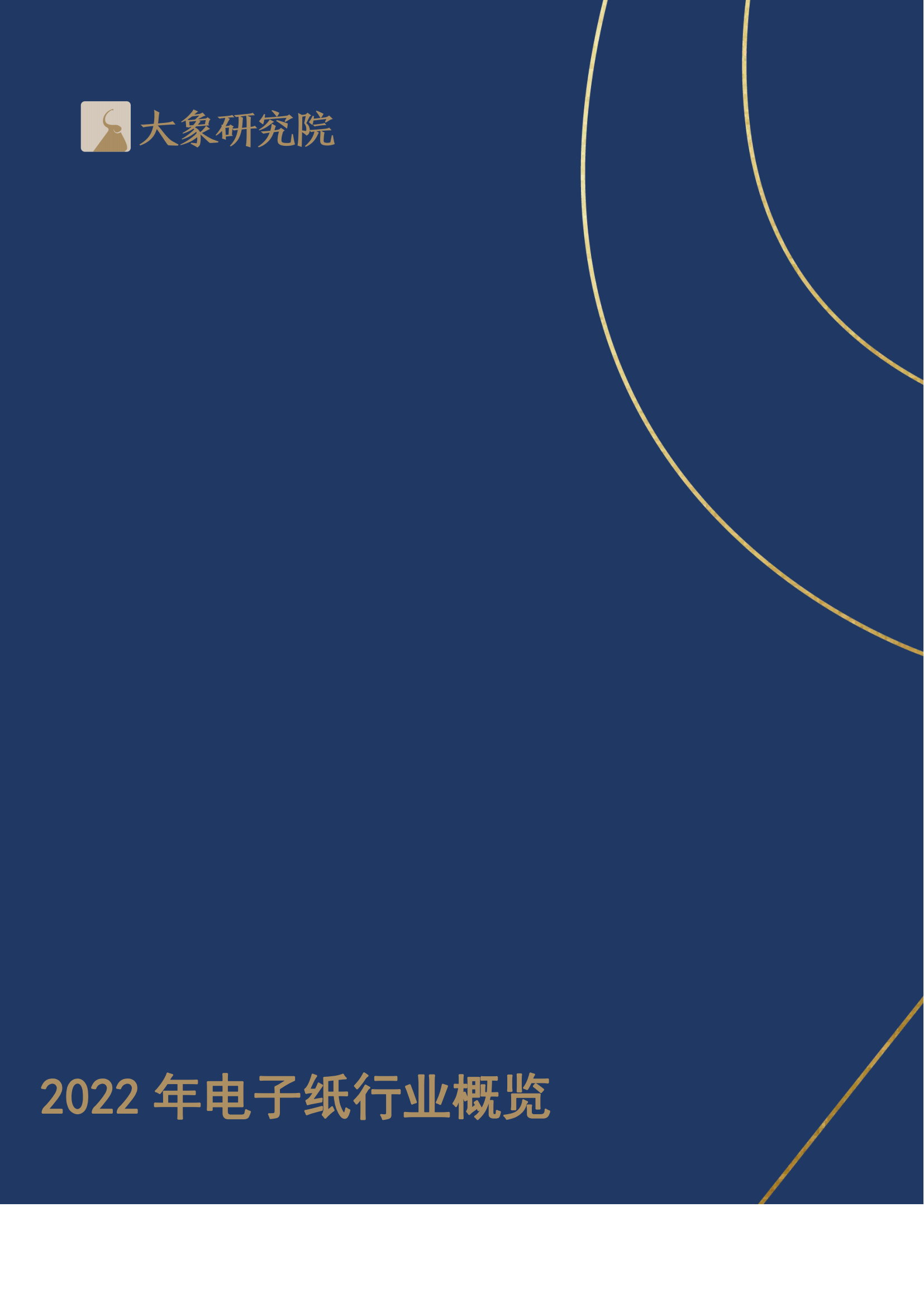 【大(dà)象研究院】2022年電子紙(zhǐ)行業概覽