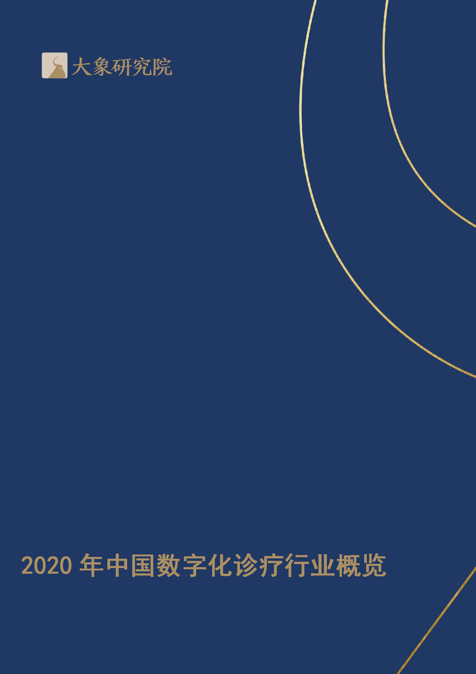 【大(dà)象研究院】2020年中國數字化診療行業概覽